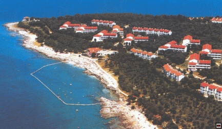 img00001.jpg